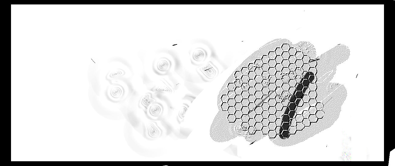 Registro visual Sector Norte