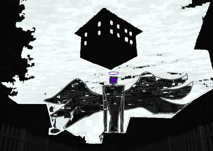 Registro visual 2 de PHEN_378